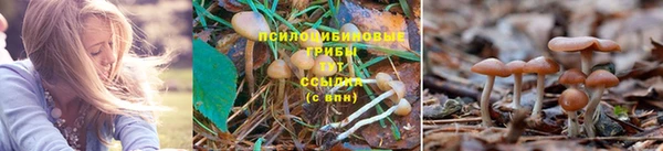 MDMA Premium VHQ Володарск